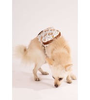 Köpek Sırt Çantası – Unicorn Model