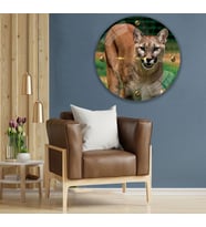 Puma Cam Saat - 60 cm