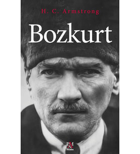 Bozkurt