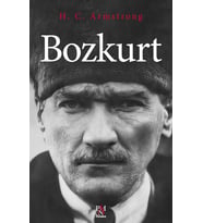 Bozkurt