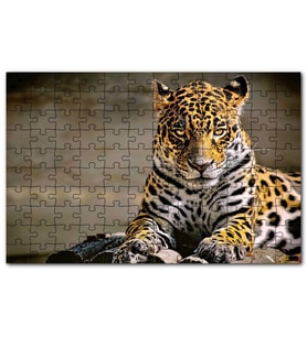 Cakapuzzle Sarı Siyah Beyaz Karışımlı Leopar Görseli Puzzle Yapboz MDF (Ahşap) (120 Parça)