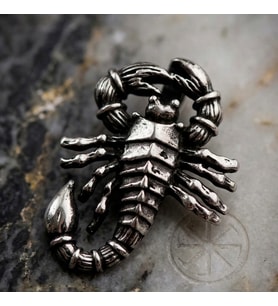 Gümüş Akrep Kolye Ucu 925 Ayar Gümüş Akrep Figürlü Unisex Kolye Ucu