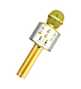 Mikrofonlu Karaoke Bluetooth Hoparlör Çocuklar İçin Şarj Edilebilir Taşınabilir Ses Değiştirici Kablosuz Bluetooth Mikrofon Gold