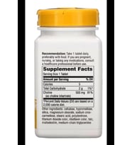 Nature's Way Choline 500mg (Kolin Nörotransmitter Brain Health) 100 Tablet. Usa Version 3532 (Renksiz)