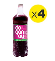 Doğanay Şalgam Suyu 1 lt Pet Acısız x 4 Adet
