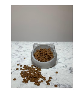 Beton Kedi ve Köpek Kuru Mama Kabı 100 g
