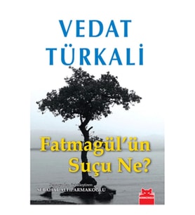 Fatmagül'ün Suçu Ne?