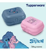 Mini Taşıma Kabı 2 li Set Mavl ve Pembe