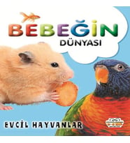 Bebeğin Dünyası Evcil Hayvanlar
