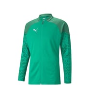 Puma 657983 Teamcup Traınıng Ceket Yeşil