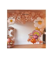 PATEN PAPATYA GÖKKUŞAĞI FOLYOLU BALON ZİNCİR SET