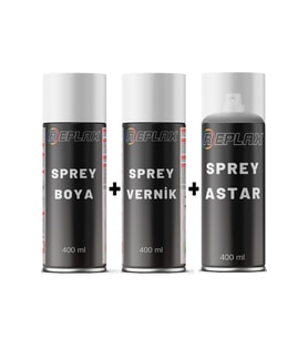 Volkswagen Transporter Şeker Beyazı Sprey Rötuş Boyası + Vernik + Astar LB9A Akzo Nobel