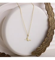 Kişiye Özel 925 Ayar Gümüş Süpürgeli Cadı Kolye (Gold)