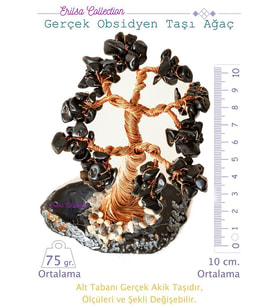 Sertifikalı Gerçek Obsidyen Taşı Ağaç - Akik Plakalı