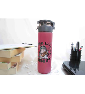 Gitar Çalan Kedi Temalı - Baskılı Cam Suluk & Termos - 550 ml
