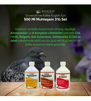 Royal İlaç Güvercin ve Kafes Kuşları İçin 500 Ml Muhteşem Üçlü Set (Pigeotonic+Pigeorex+Acidoral)
