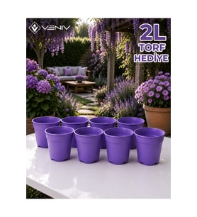 8 Adet Dekoratif Renkli Saksı - 8.5 cm 0.35L - Genel Kullanım- Saksı & Tohum Çoğaltma