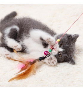 Kedi Oyun Oltası 90 cm