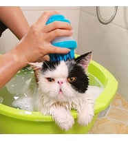 2 Adet Gentle Sılıcone Pet Banyo Fırçası Masaj Pedi Ayak Sırt Kullanımı İçin İdeal (Mavi)