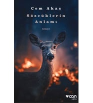 Sözcüklerin Anlamı