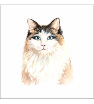 Sevimli kedi Sticker 2  Duvar Sticker 30x25 CM