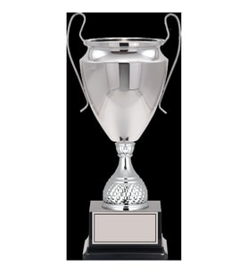 ODAK KUPA - Elit Kupalar - ELT-055 C - 42 cm