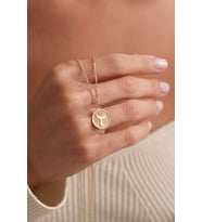 Kişiye Özel 925 Ayar Gümüş Minimal Balina Kuyruğu Model Kolye (Gold)
