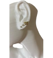 MİNİMAL KUTUP YILDIZI KIKIRDAK TRAGUS HELİX PEARSING KÜPE 316L ÇELİK (Gold)