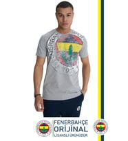 Fenerbahçe Orijinal Lisanslı 6 Renk Logo Gri Tribün T-Shirt 
