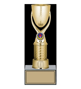 ODAK KUPA - Genel Kupalar - GN-146 B - 26 cm