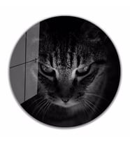 İdealizbiz Kedi Cam Tablo 4mm Dayanıklı Temperli Cam Hayvan Tema