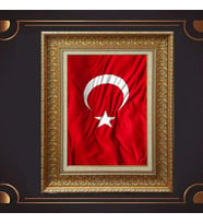 Gold Altın Kalın Çerçeveli Paspartulu Tablo s1105