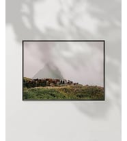Dağlarda İnek Sürüsü Poster (Çok Renkli)
