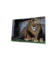 Aslan Cam Tablo 4mm Dayanıklı Temperli Cam (Çok Renkli)