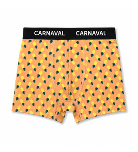 CARNAVAL Ananas Desenli Premium Pamuklu Erkek Boxer -Turuncu Renkli