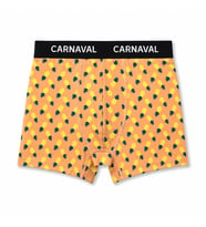 CARNAVAL Ananas Desenli Premium Pamuklu Erkek Boxer -Turuncu Renkli