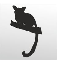 Folyo Sticker Rakun 100cm Uzunluk (Karışık)