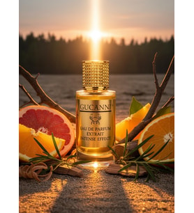 Terre'd Hermes 75ml Edp Erkek Parfüm Ultra Kalıcı (biz Daha Iyisini Yapana Kadar En Iyisi Bu)