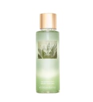 Victoria's Secret Fresh Jade Fragrance Mist 250 ml Kadın Vücut Spreyi