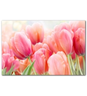 Pembe Laleler Görseli MDF Tablo