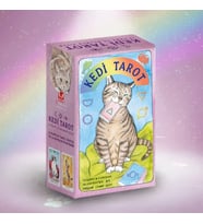 DÜKKAN DESİGN KEDİ TAROT DESTESİ