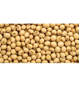 Dökme Bakliyat Soya Fasulyesi - 500 gr