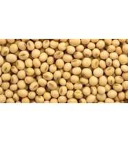 Dökme Bakliyat Soya Fasulyesi - 500 gr