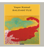 Baldaki Tuz