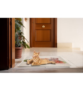 kedi tırmalama paspası, RESİMLİ petshop paspası 45*70