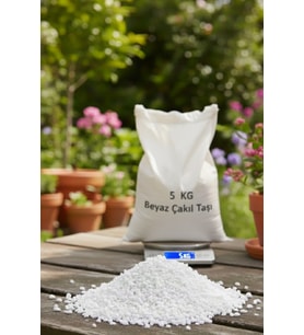 5 KG Beyaz Çakıl Taşı – Vazo Saksı Bahçe Taşı, Doğal & Dekoratif