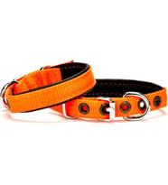Doggie Softlu Köpek Boyun Tasması 1,5 cm x 30 cm Turuncu