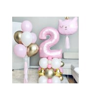 PEMBE KEDİLİ BALON SETİ