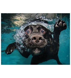 Prime 3D Su Altında Köpek Puzzle 100 Parça 20509