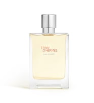 Terre d'Hermès Eau Givrée, Eau de Parfum 100 ml